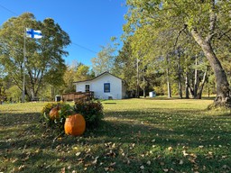 Lehtipuumetsän reunassa pieni valkoinen tupa, tangossa Suomen lippu, etualalla suuria, oransseja kurpitsoja.